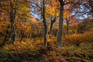 Signs You’ve Outgrown Digital Camera Basics